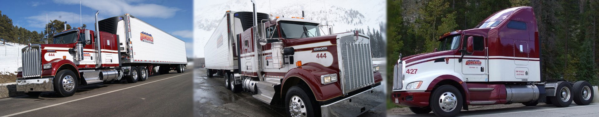 Collage image of Domenico Transportation trucks